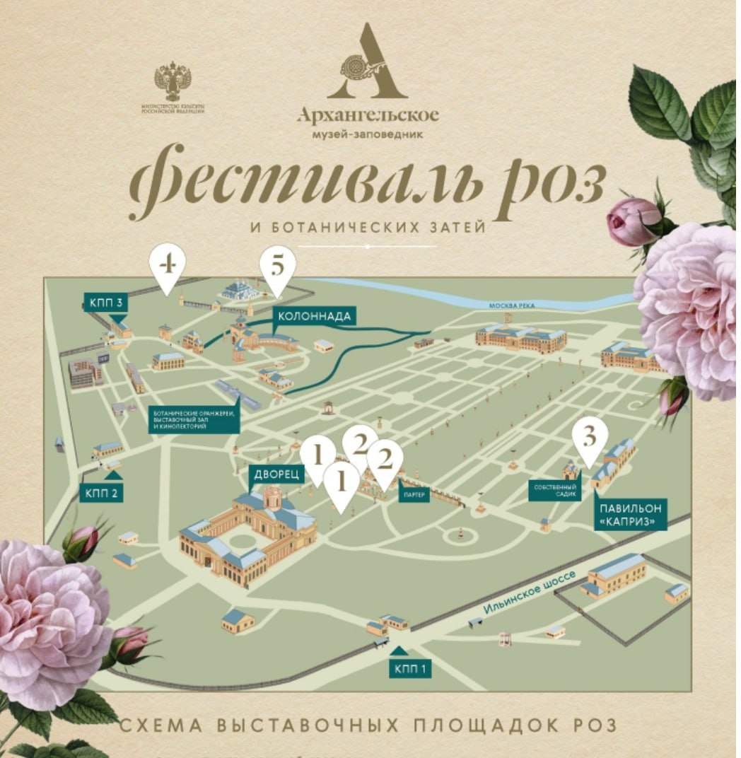 Фото с сайта t.me/KULTURNYJ_SHOK