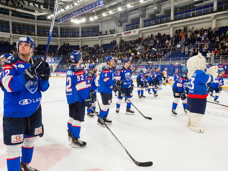     Фото: Андрей Холмов/ХК "Лада"