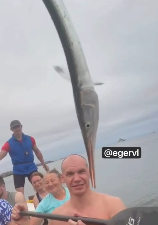    Источник фото: Тг-канал "Эгершель и Фрунзенский район Владивостока"