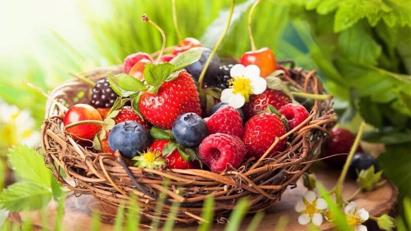     Летние ягоды. pinimg.com