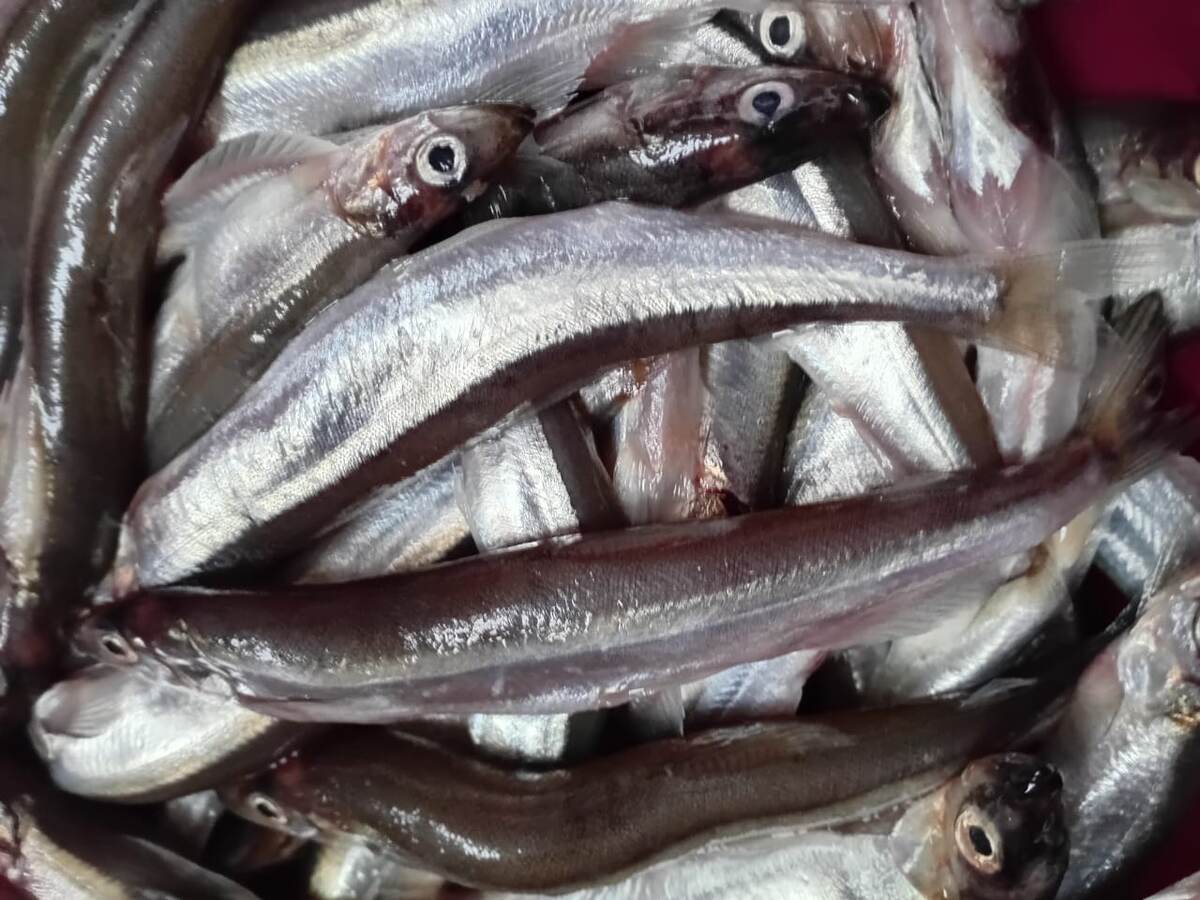 Уёк. Фотография моей подруги. 