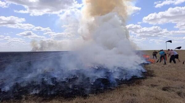    © Официальный Telegram-канал заповедника "Аскания Нова"