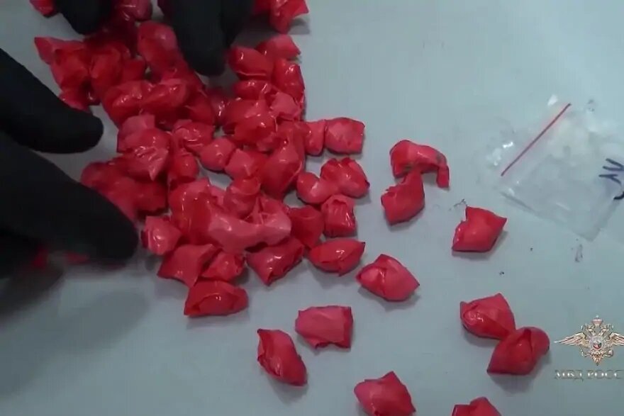    Кадр: Пресс-центр МВД России