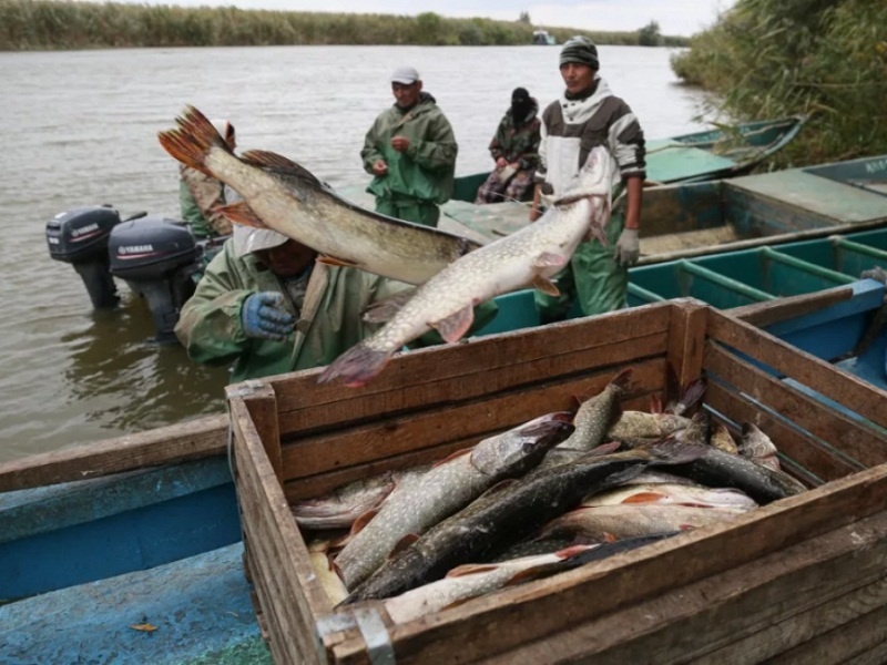 А рыболову-любителю – запрет на спиннинг в нерестовый период
