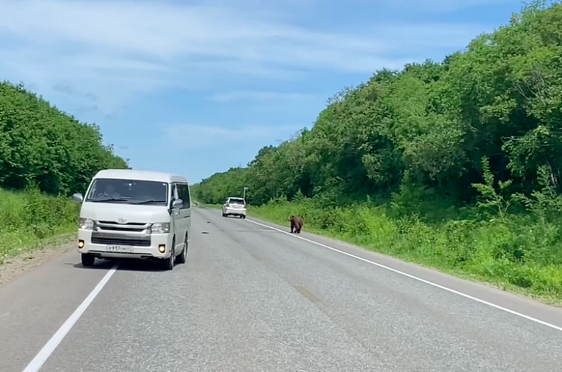 Владимир Шаблий