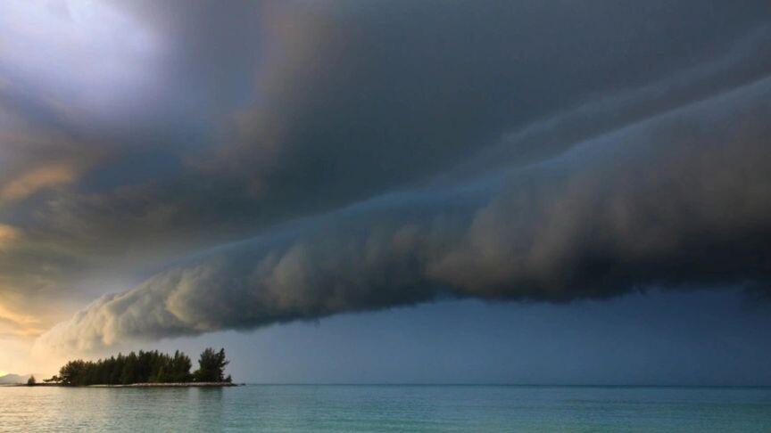    Фото: Peter Wollinga/Shutterstock/Fotodom