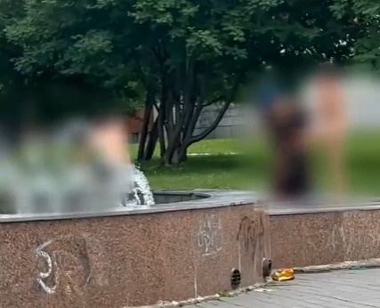    Фото: скриншот видео ЧП-Новосибирск \ Telegram