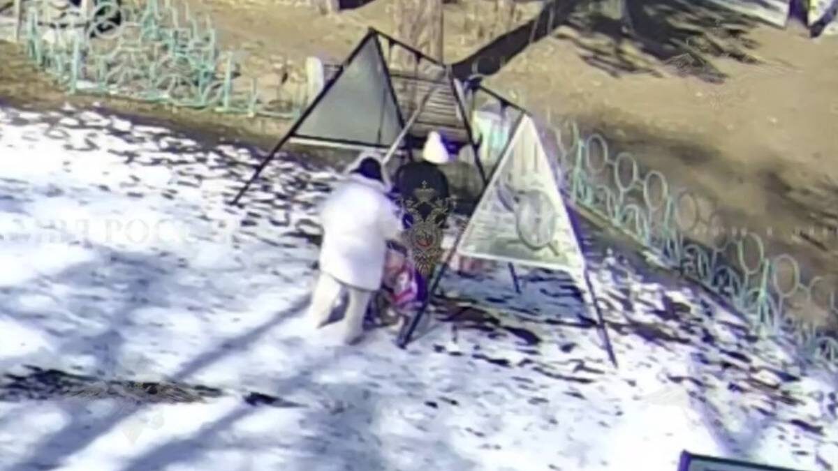    Фото: Telegram / Ирина Волк