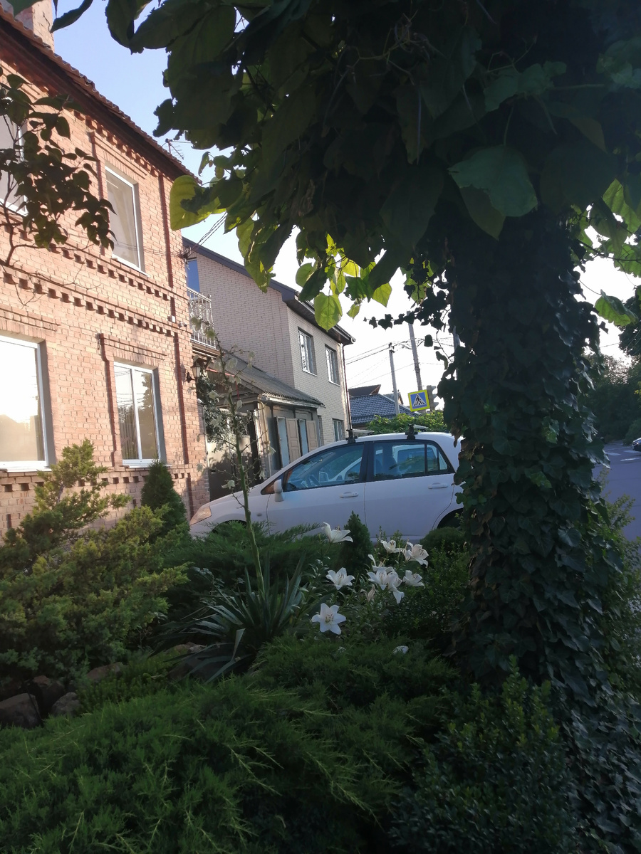 Красивая клумба в частном секторе