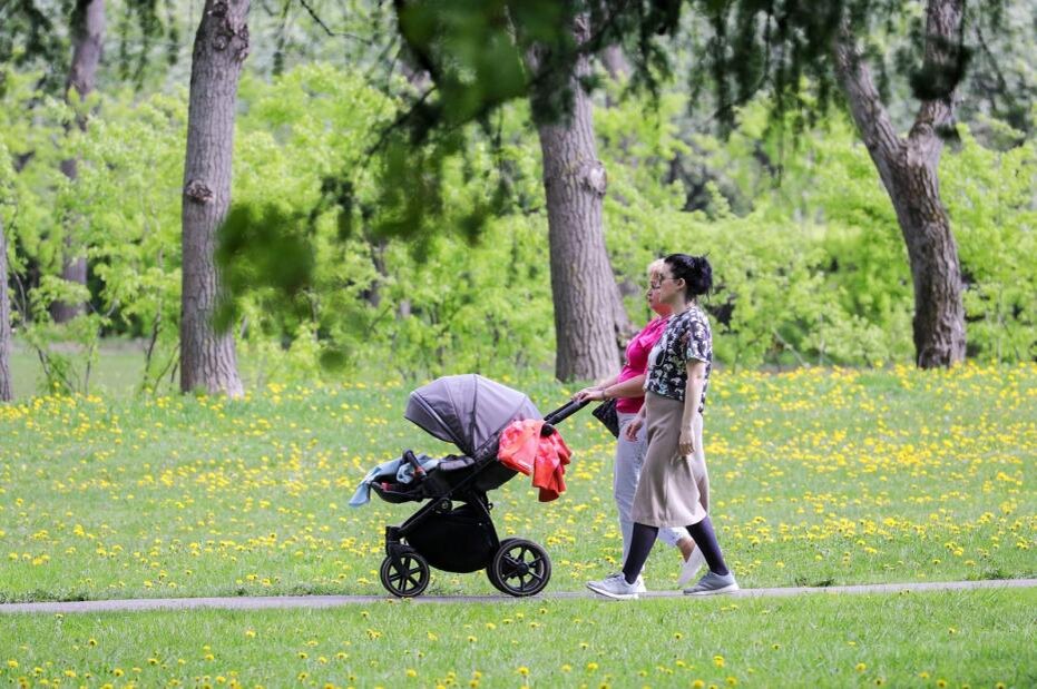    Сергей Булкин/NEWS.ru