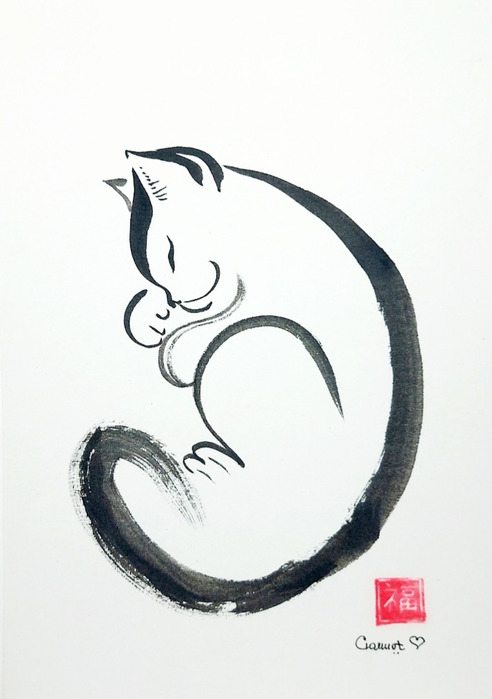 Сюмикотик одиннадцатый. Новый и тоже необыкновенный.