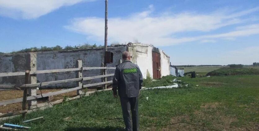 Фото: Уральское межрегиональное управление Россельхознадзора