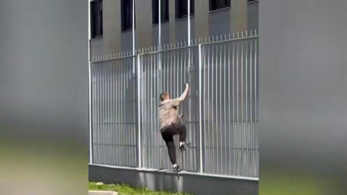  t.me/ Ирина Волк