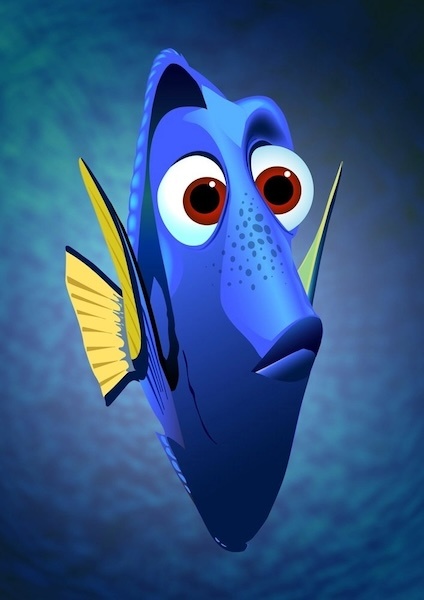 Когда ищешь функцию "DORI" в интернете