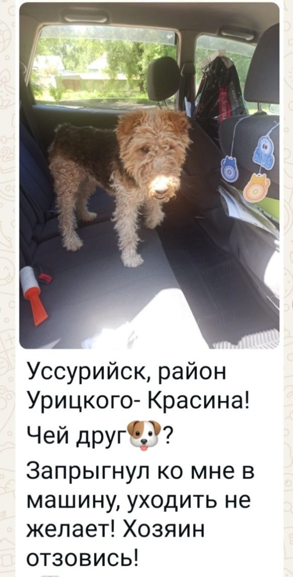 Скриншот местного телеграмканала,от 22 июня