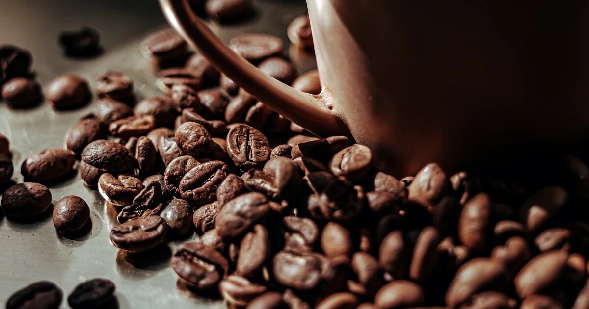 Фото: Ruslan Sikunov / unsplash