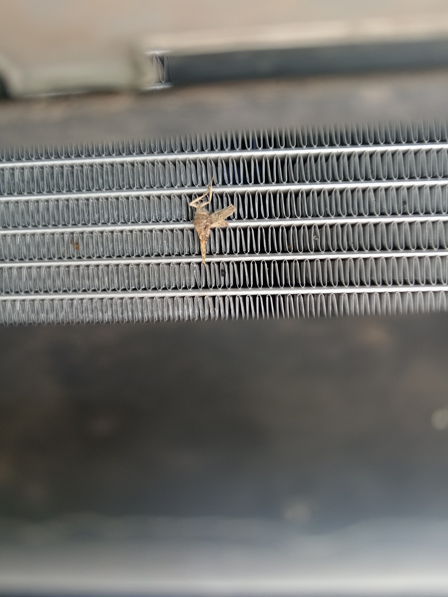 уже и новый радиатор испачкать успели 😑