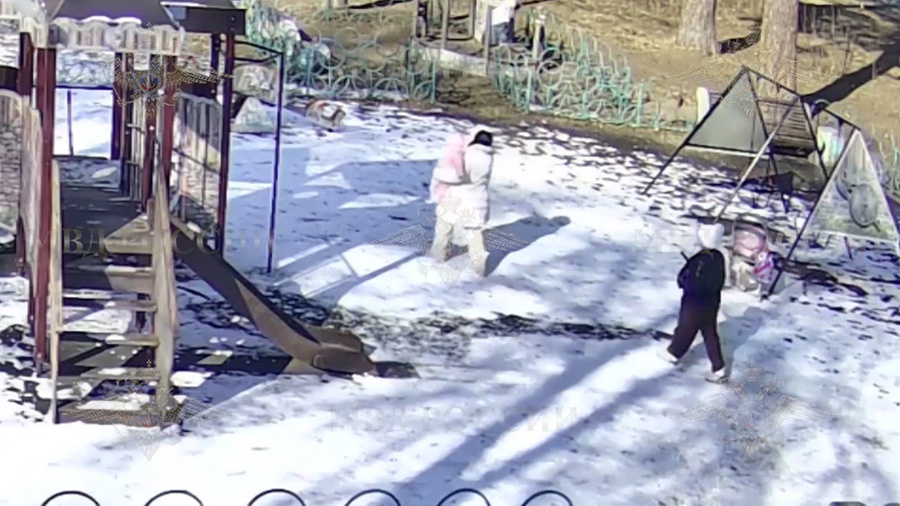    © МВД России