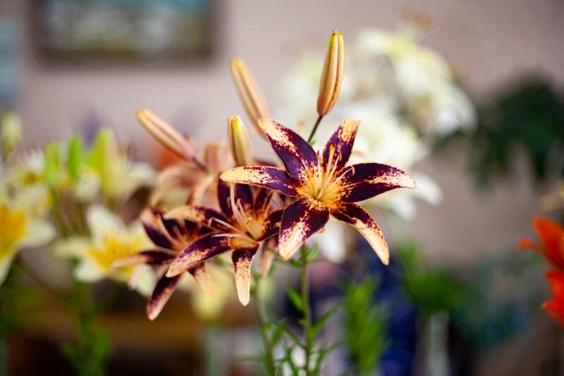 Листайте вправо, чтобы увидеть больше изображений