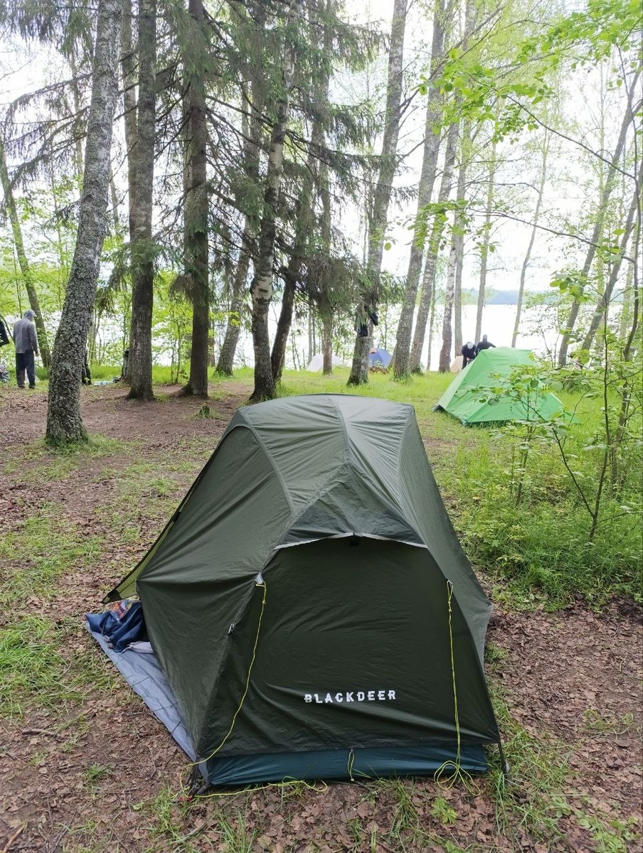 Проснулись под крики туристов и жужжание комариков