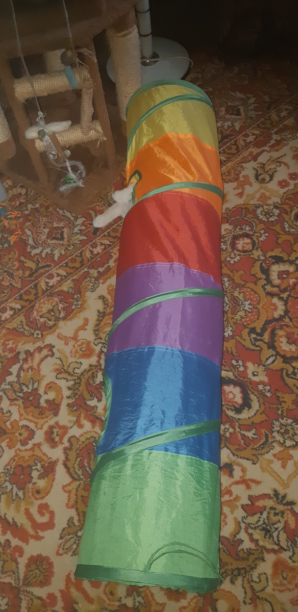 Я - уху ел, а Йосе булочку оставил.