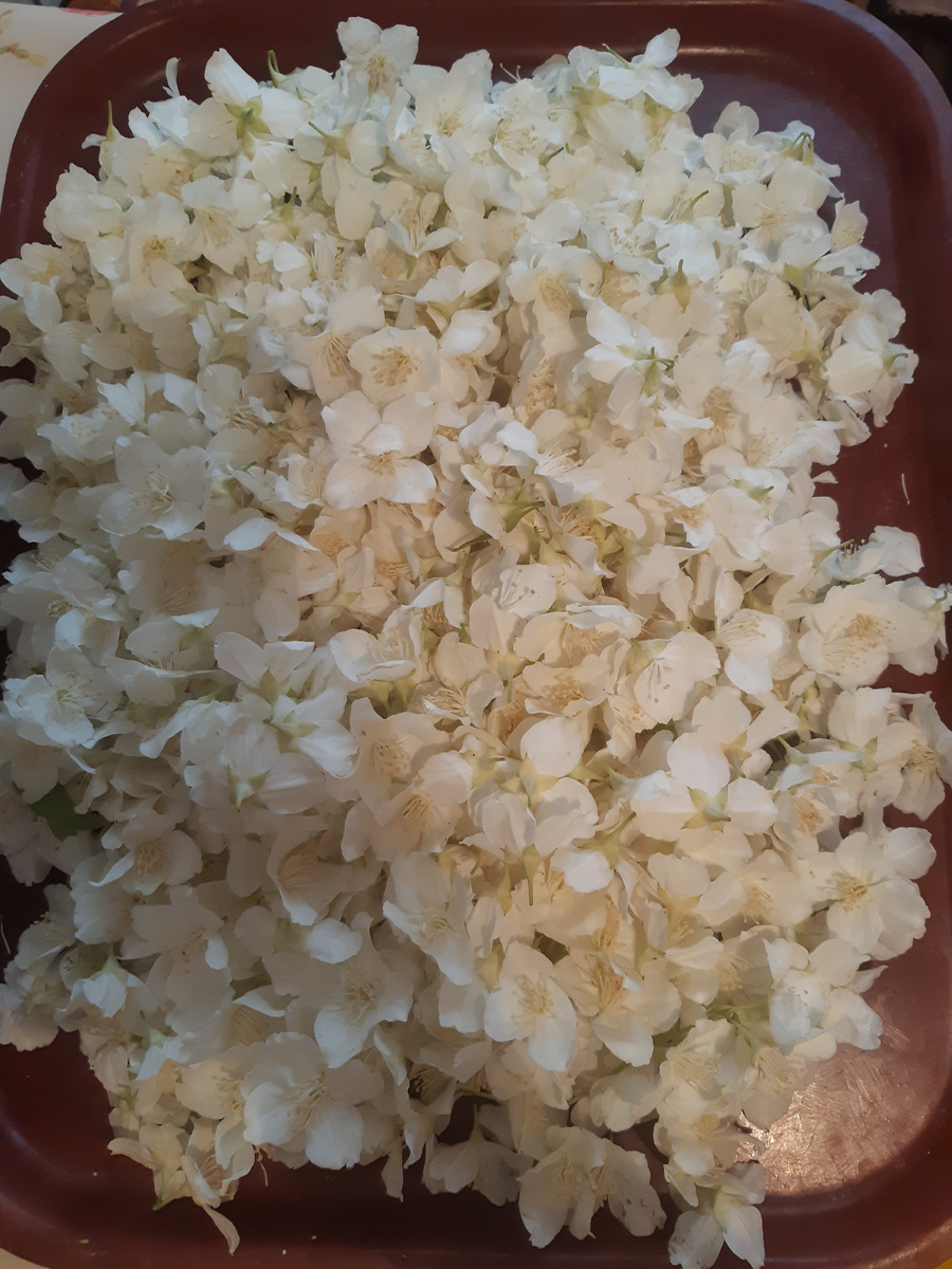 Добытчик принёс.