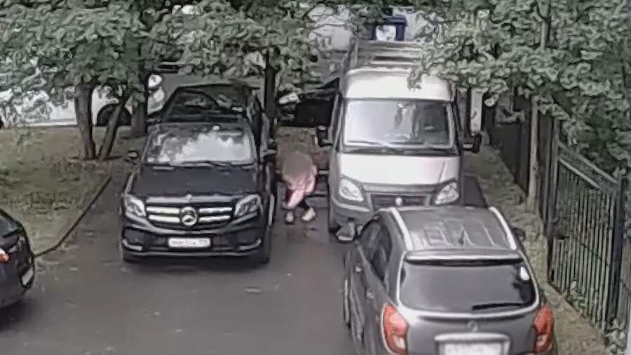     / Источник: © Кадр из видео