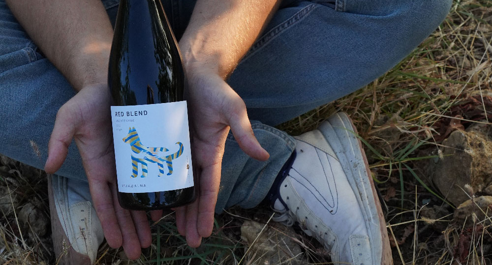 Винодельня Villa di Alma - Крым, вино и пёсики