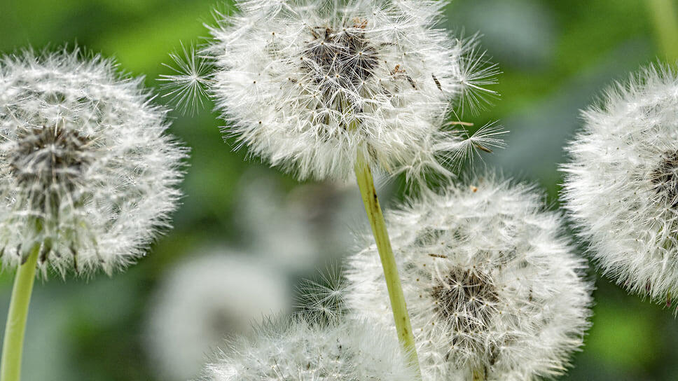 Фото: Константин Кокошкин / Коммерсантъ