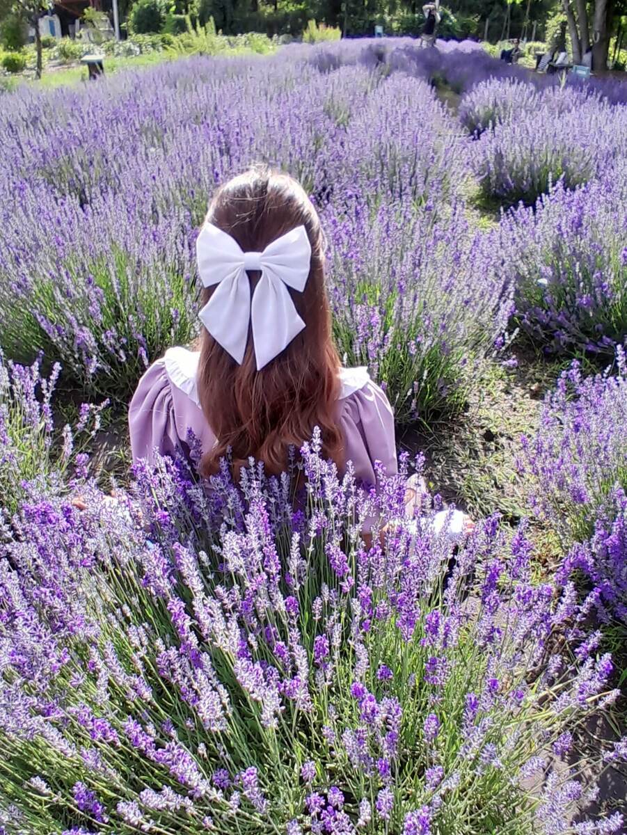 Лавандовая долина в Воронеже