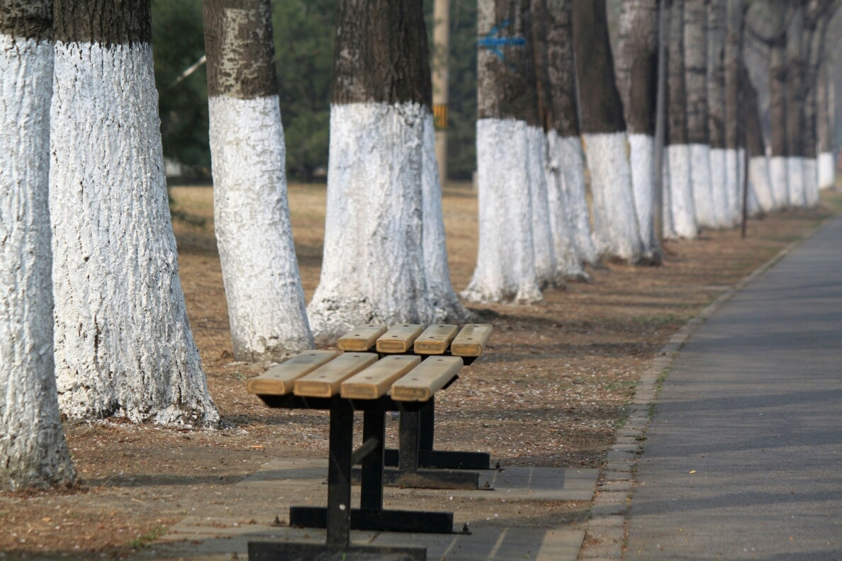 Германия. Фото: gutx.com.de