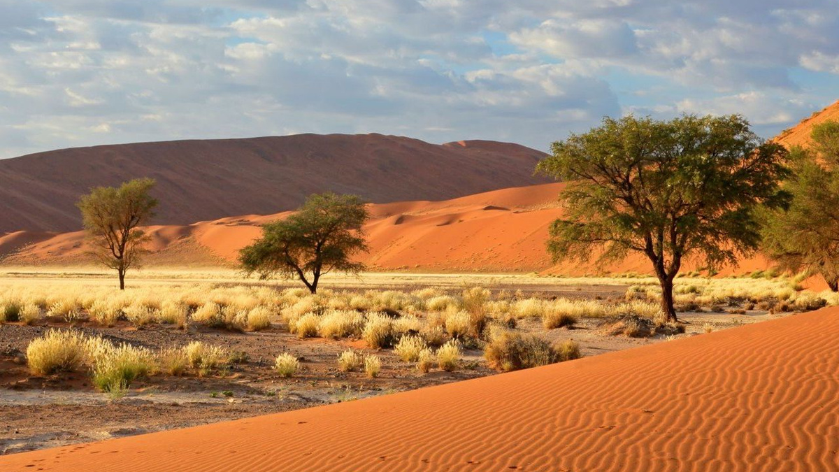 Пустыня Калахари образовалась в результате геологических и климатических изменений, происходивших на этой территории на протяжении миллионов лет. 