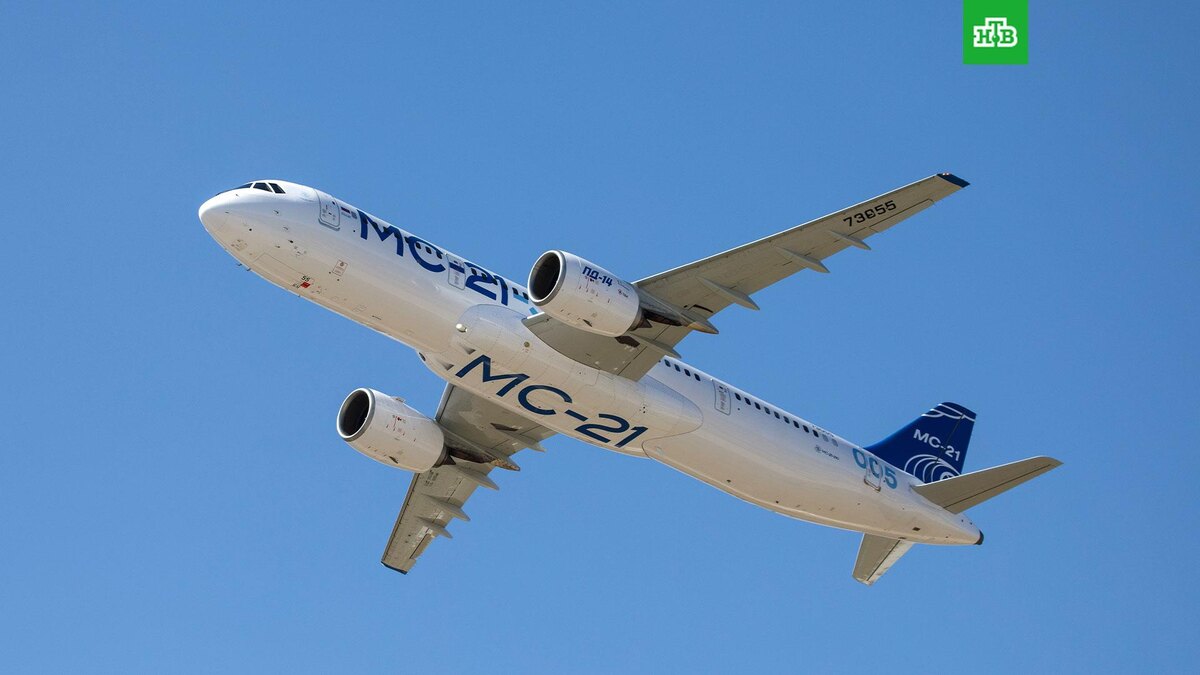    Фото: РИА Новости © 2025, Нина Падалко