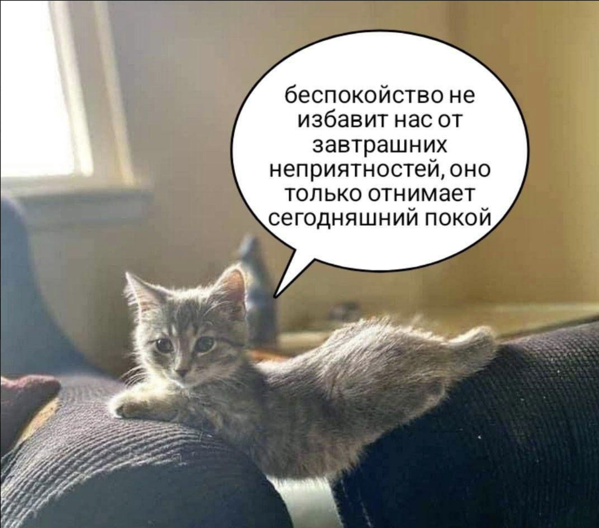 Просто мем с просторов