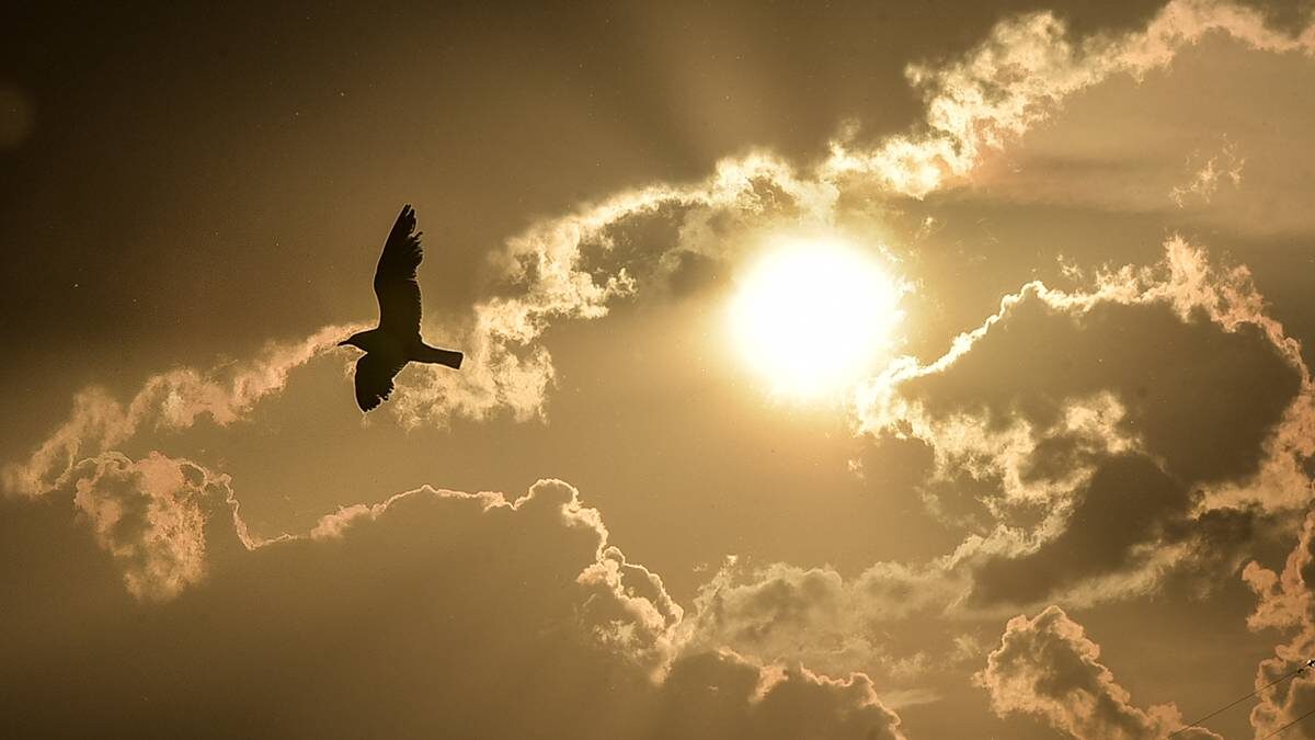    Фото: Наталья Феоктистова / Вечерняя Москва