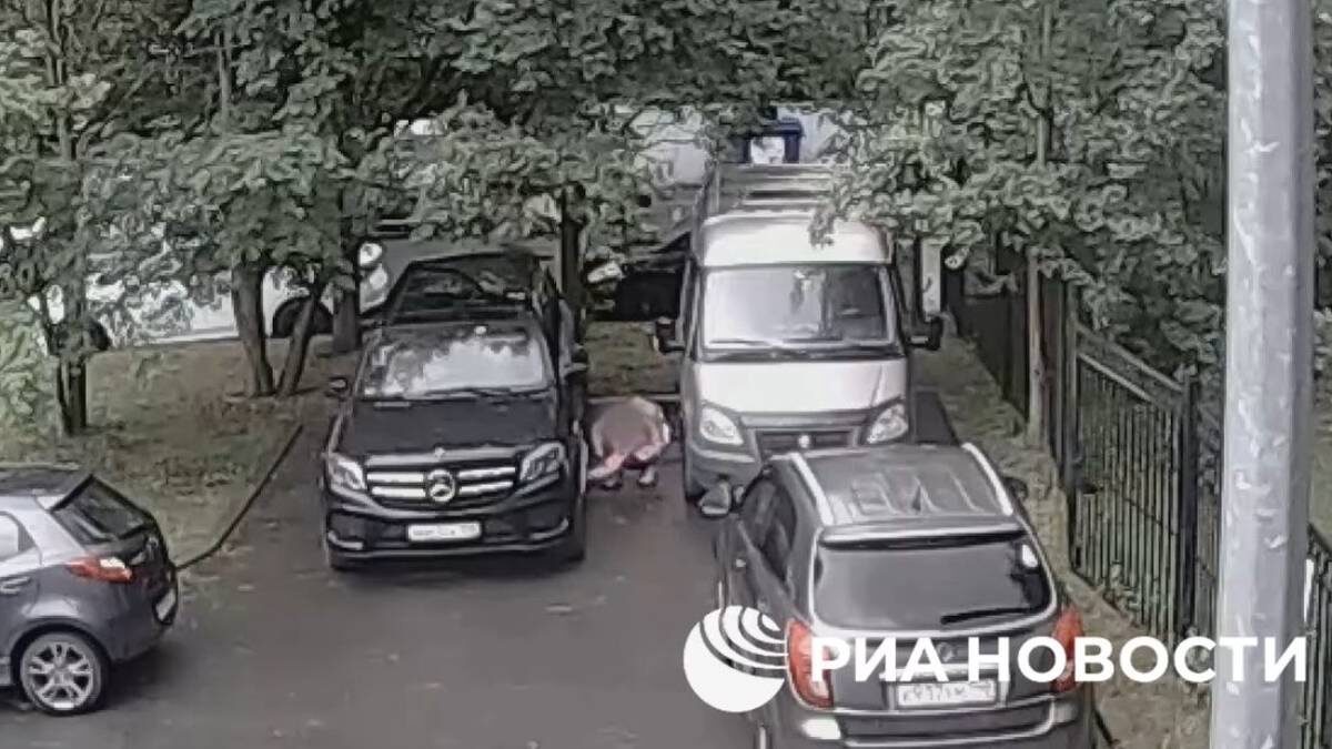    Фото: Скриншот видео / Telegram / РИА Новости