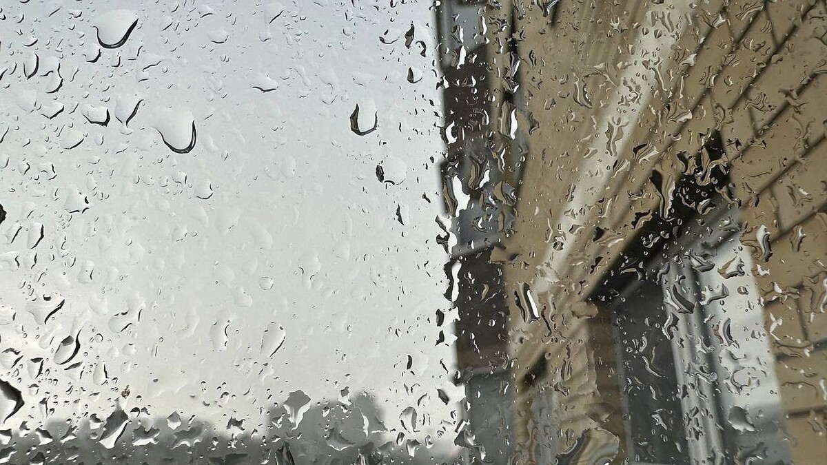    Фото: телеканал «Краснодар»