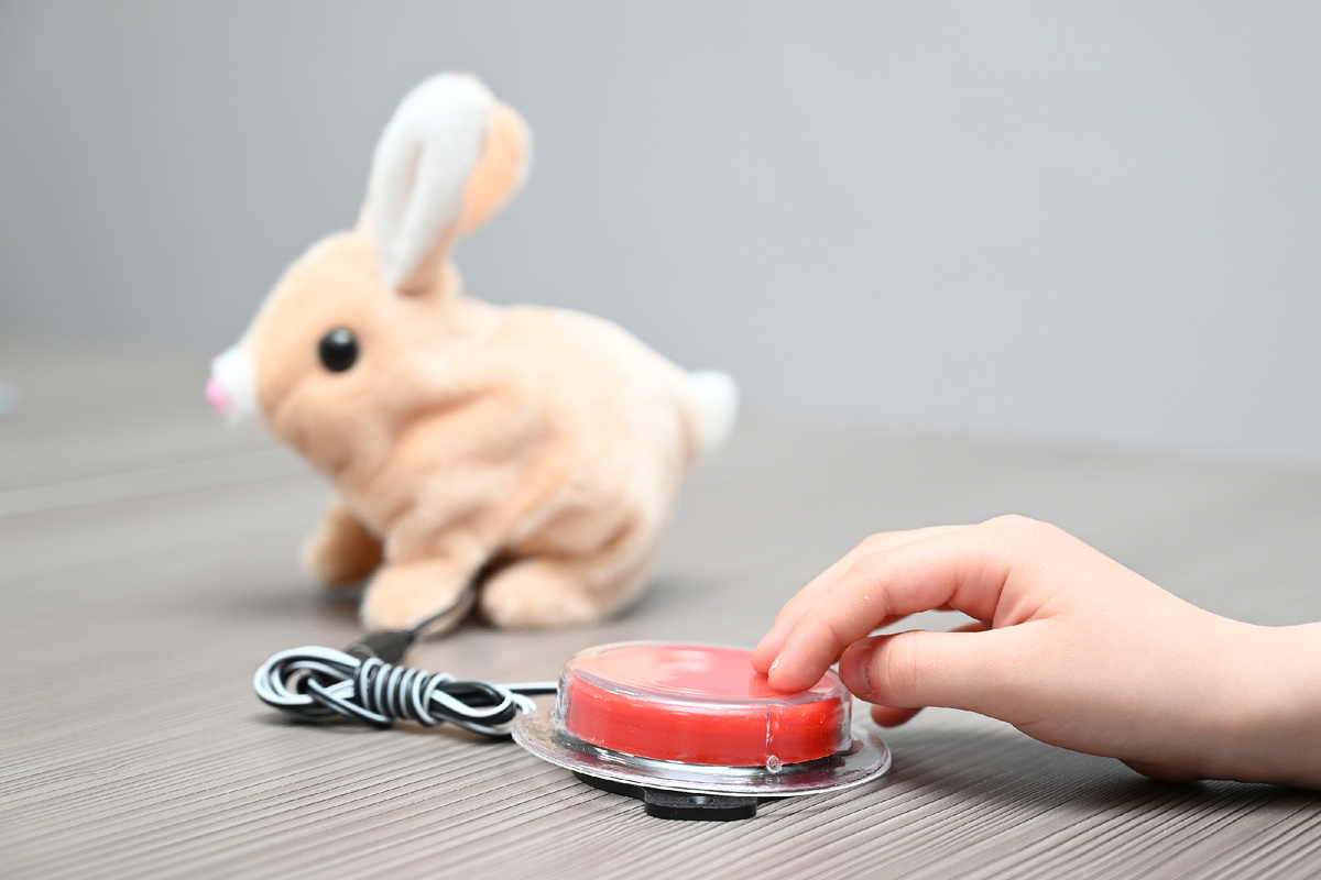 Кнопка-переключатель с реабилитационной игрушкой "Кролик"