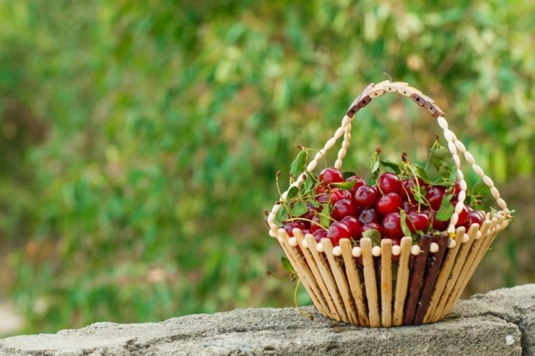    Фото: freepik.com/ wirestock Александра Горохова