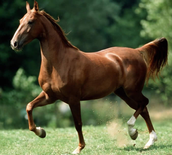 Доверие начинается с имени. На фото — красавица Дана.