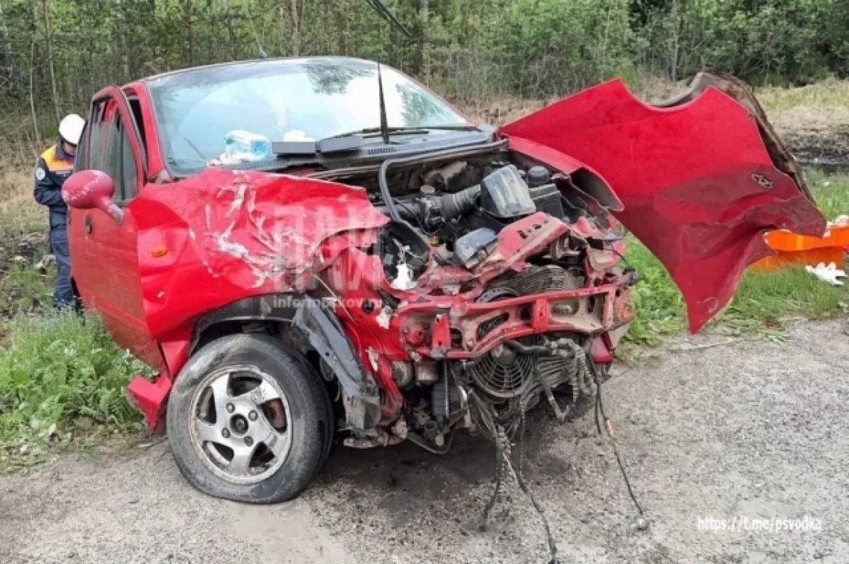    Пьяный водитель набросился на медиков на месте ДТП в Псковском районе