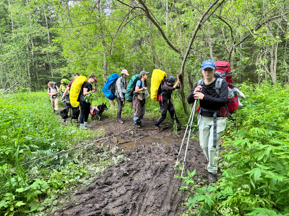 Вот это мы влипли