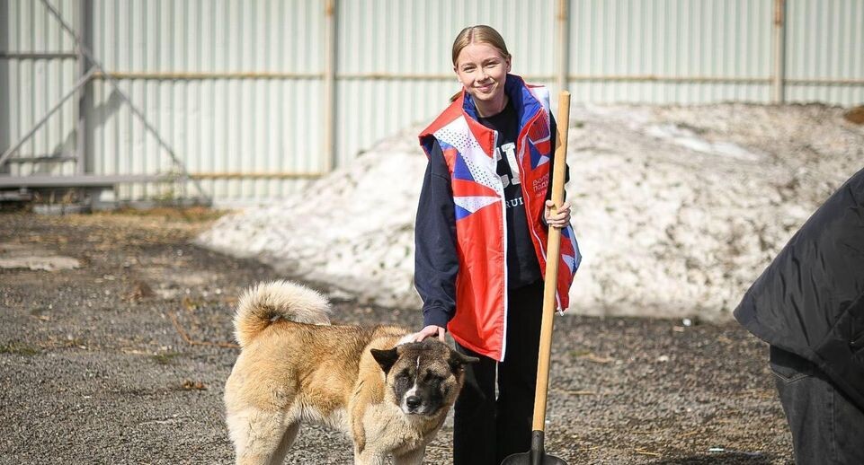    Министерство информации и молодежной политики Московской области