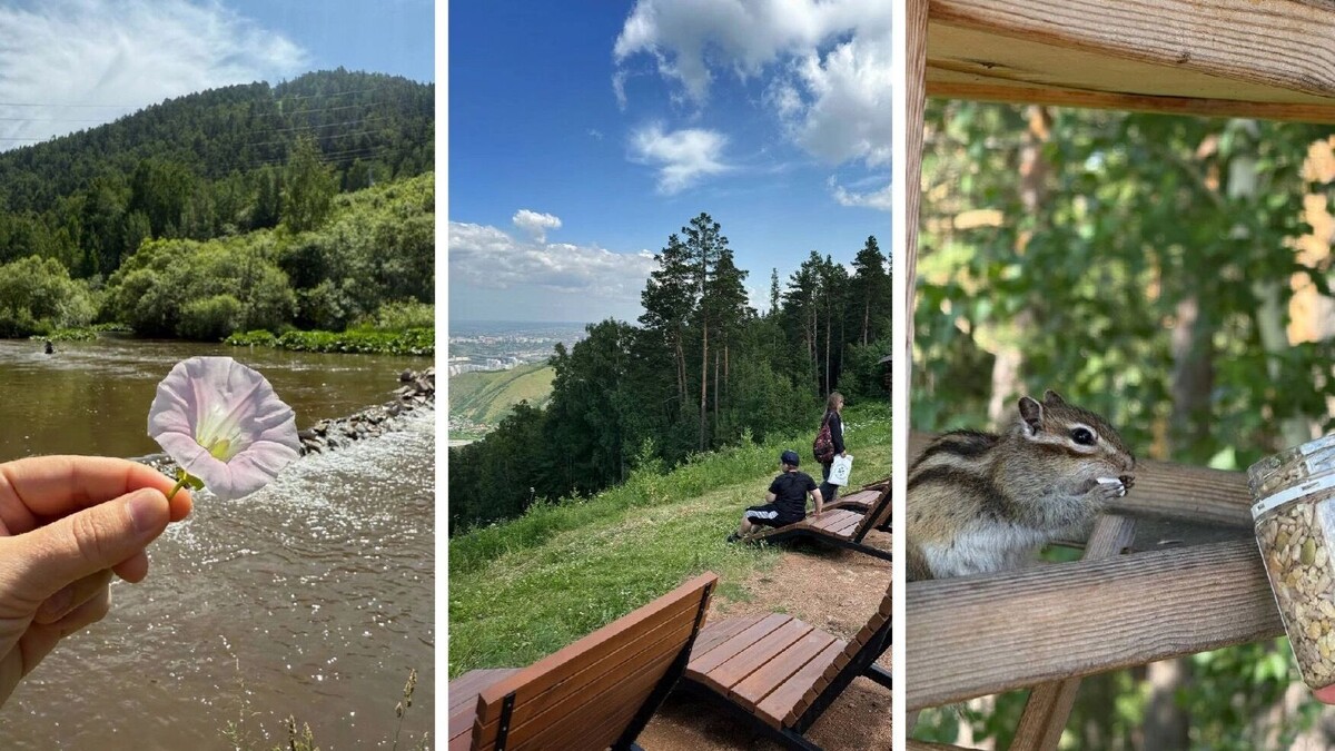     Источник: t.me/modno15minut