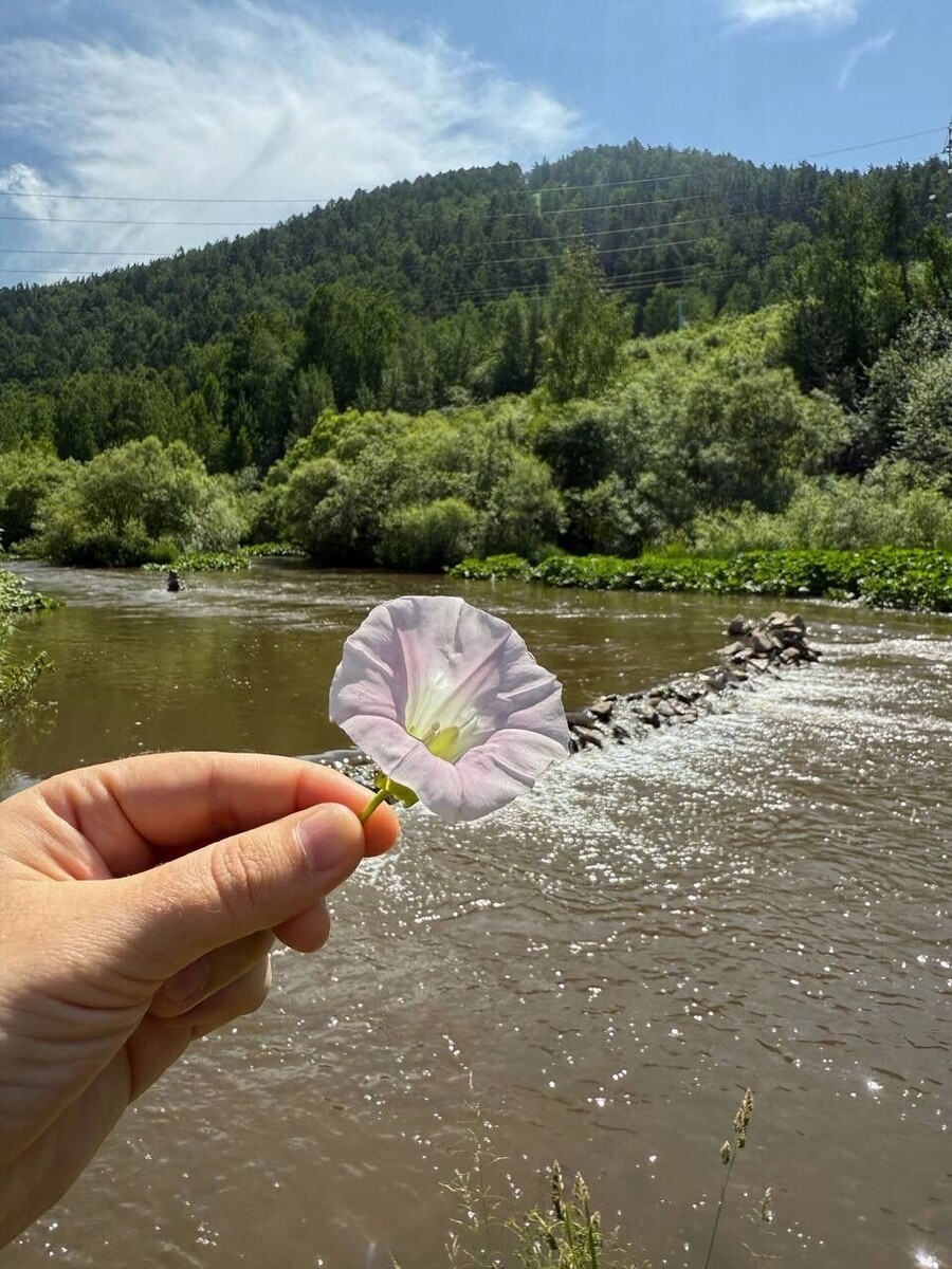     Источник: t.me/modno15minut