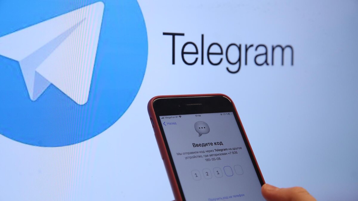 Фото: ИЗВЕСТИЯ/Андрей Эрштрем