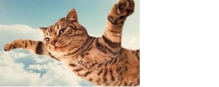 Картинка из интернета