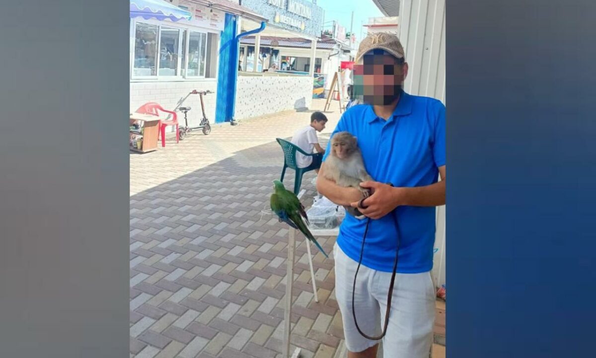    Фото t.me/tuapsevesti