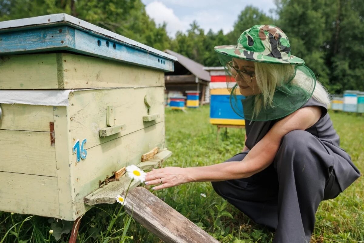    Суперпчёлы и «умный видеоглаз».