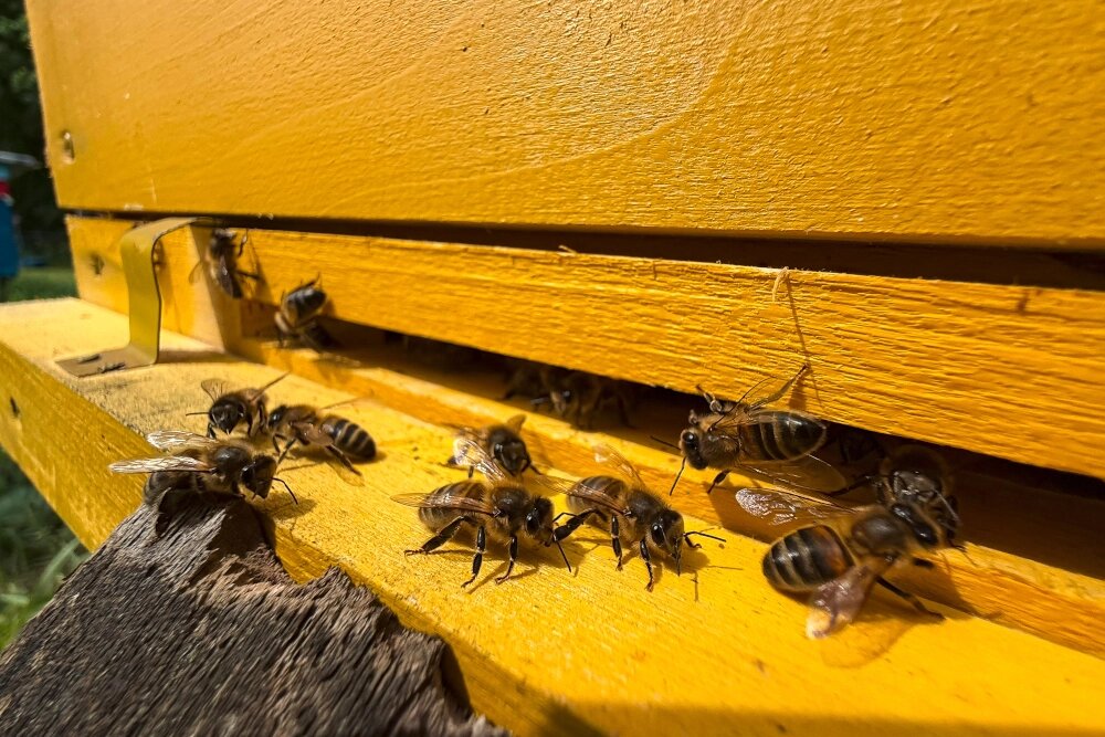    Фото: Ростелеком